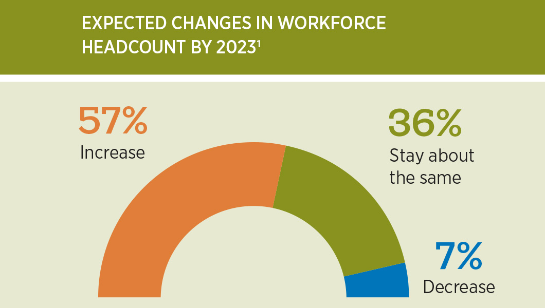 57% of companies expect to increase headcount by 2023, 36% expect to stay the same and 7% to decrease.