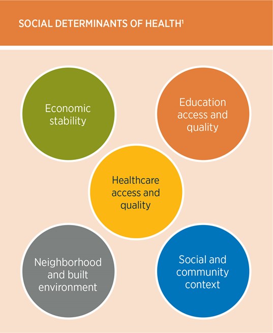 Social determinants of health are economic stability, education, healthcare quality, neighborhood and community