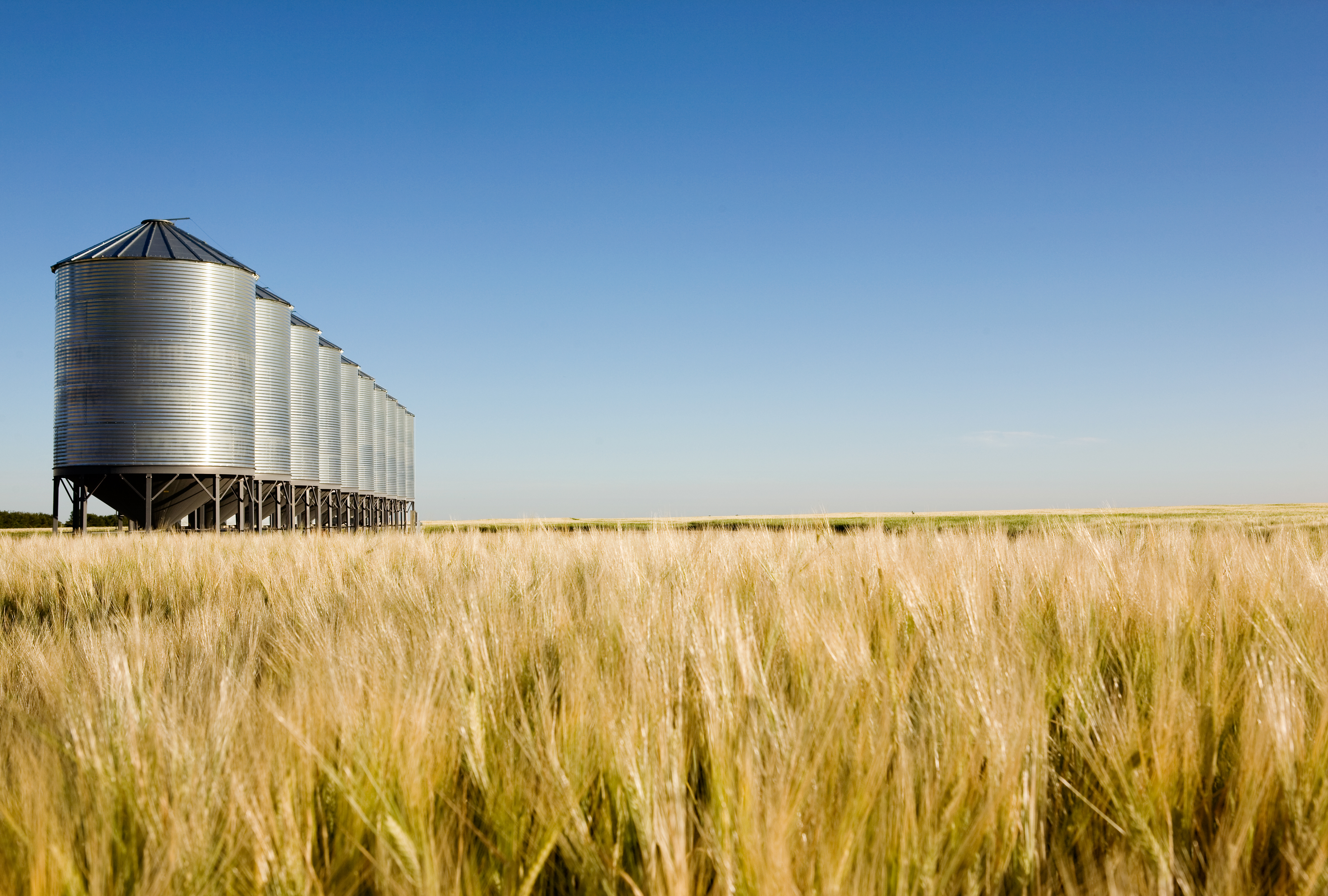 Field to Fork: February 2021