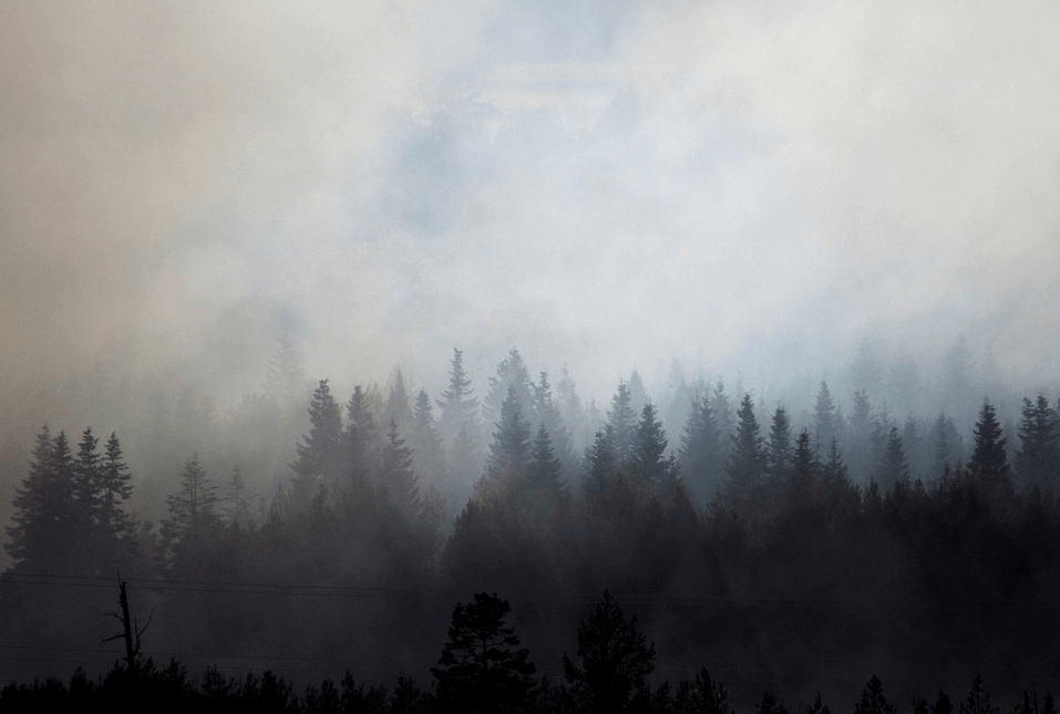 Wildfire smoke