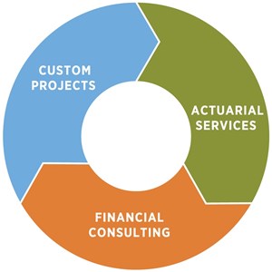 We offer actuarial services and financial consulting and do custom projects.