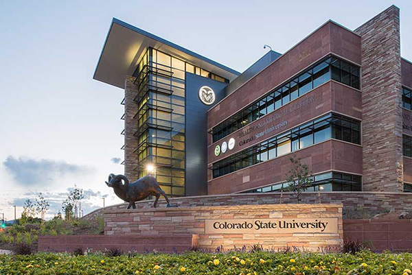 CSU