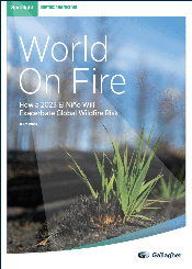 World On Fire