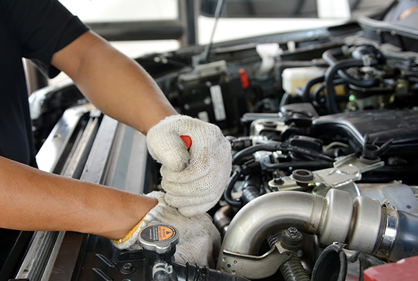 Motor trade insurance