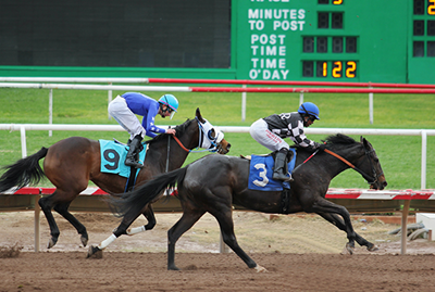 An image of horses racing